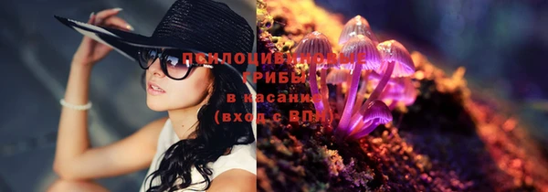бошки Нефтегорск