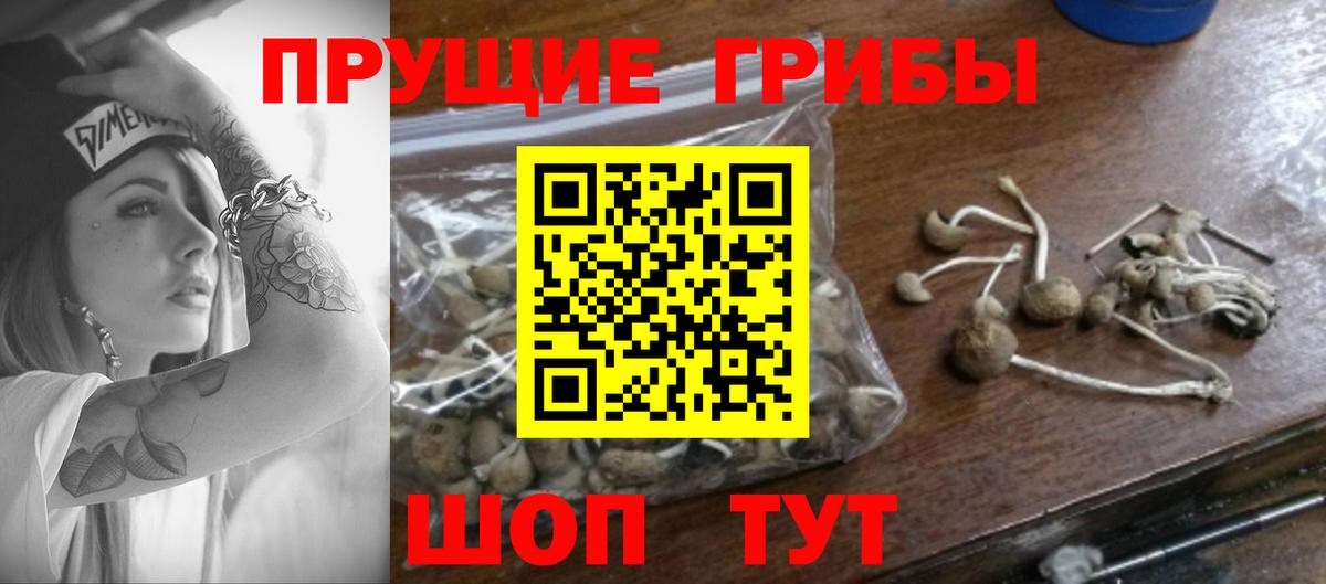 Галлюциногенные грибы прущие грибы  Галлюциногенные грибы Cubensis  Лянтор  Вход с VPN 