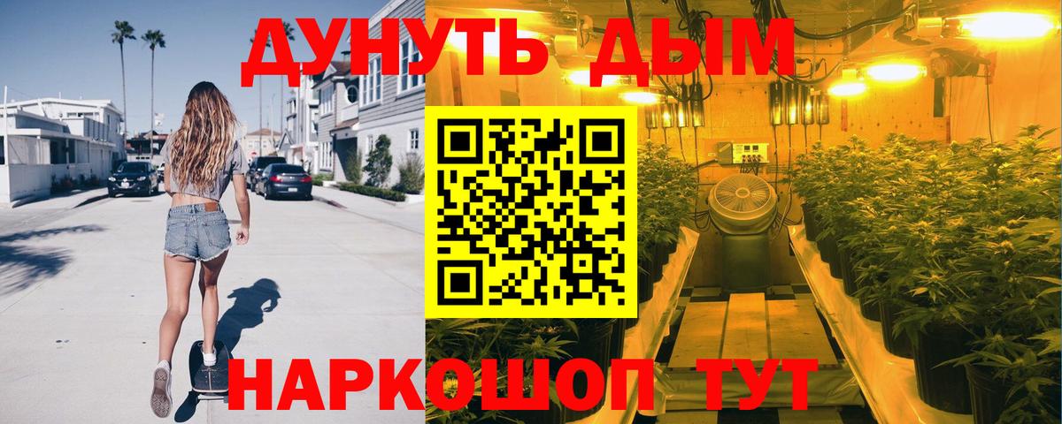 Конопля сатива Лянтор